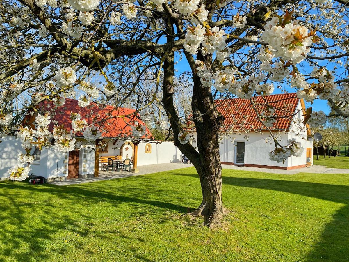 Ferienhaus Berta Sassnitz Dış mekan fotoğraf